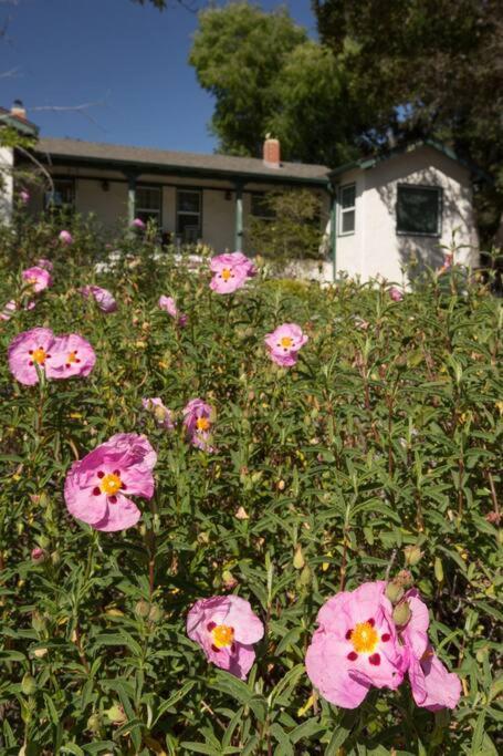 Wine Country Bungalow Atascadero Buitenkant foto